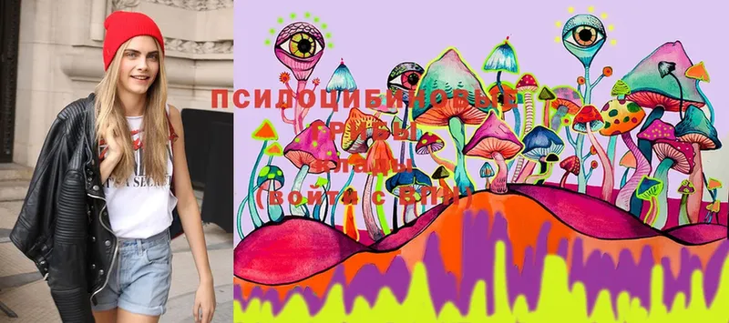 Галлюциногенные грибы Magic Shrooms  Ершов 